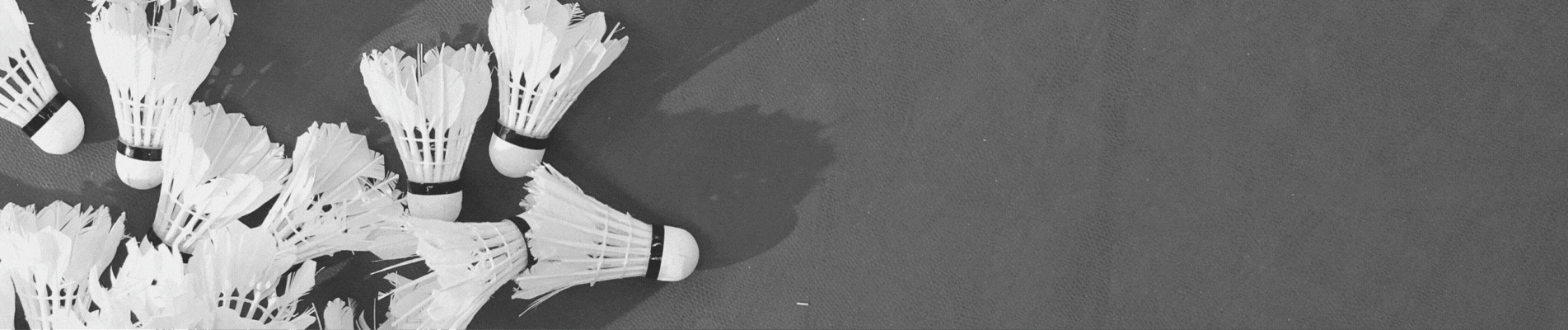 slider_2021_ (1).gif